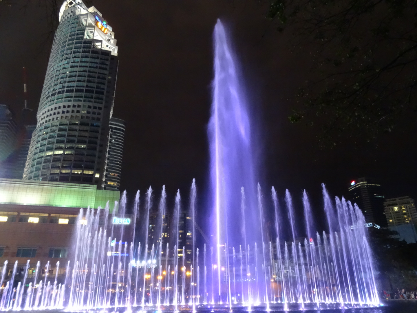 wpid-dsc01550.jpg image