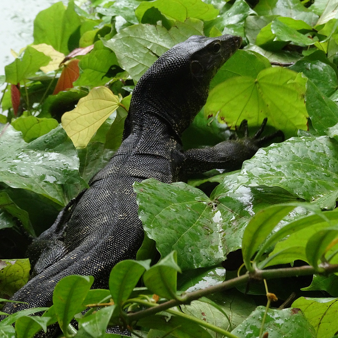 wpid-img_20141216_193542.jpg image