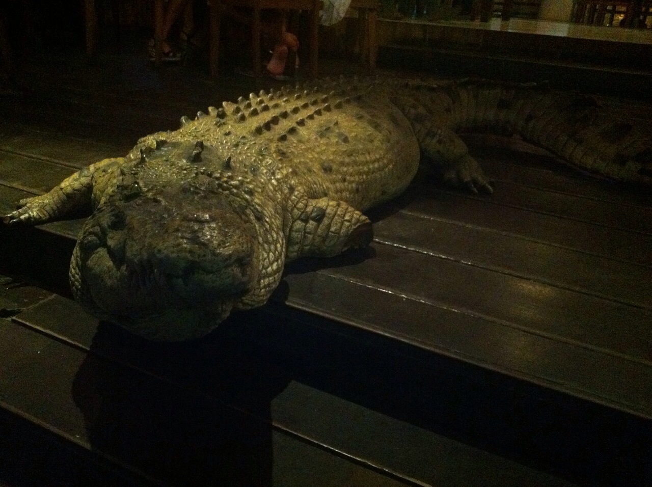 wpid-wp-1419696040866.jpeg image