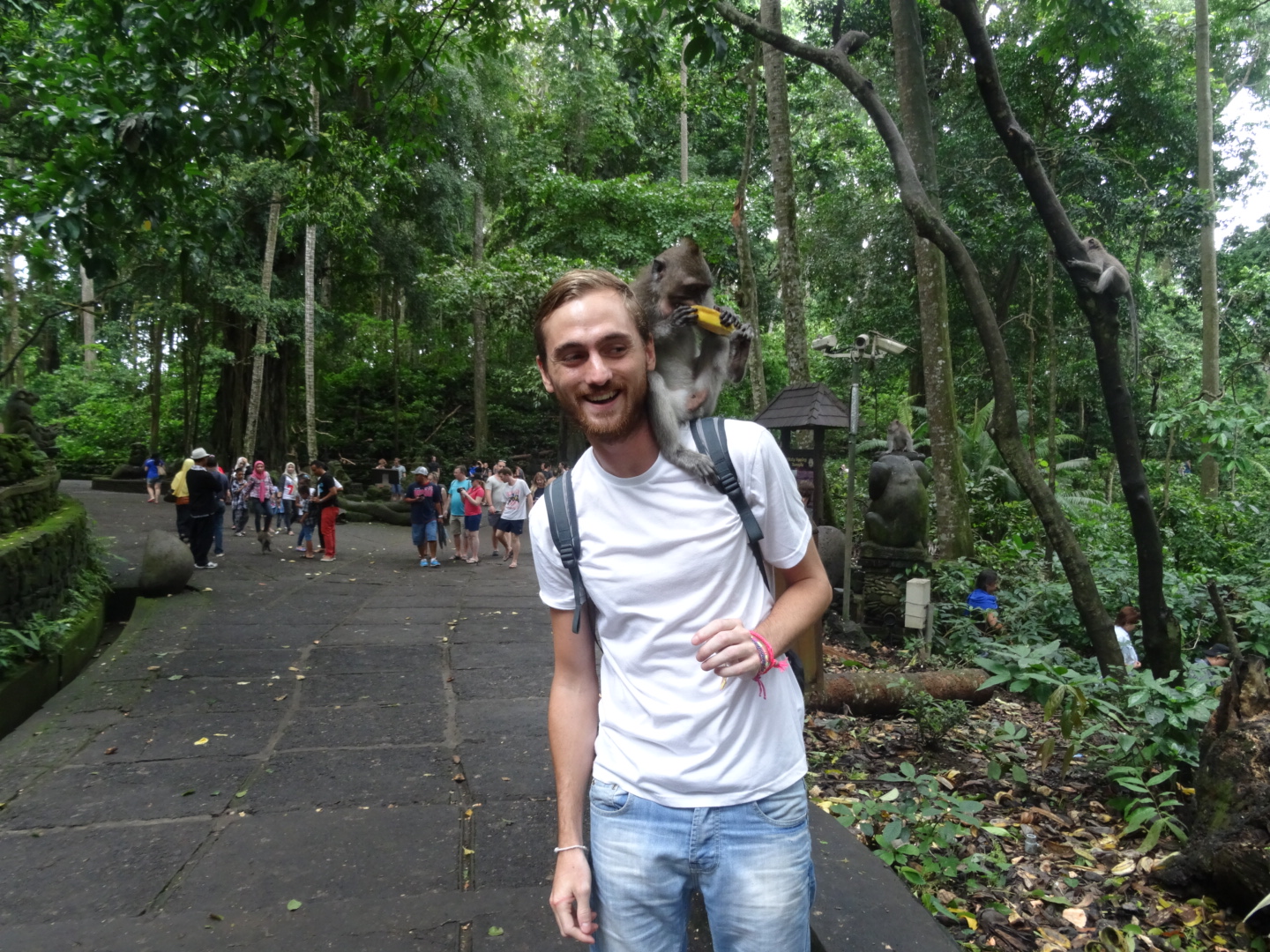 wpid-dsc02093.jpg image