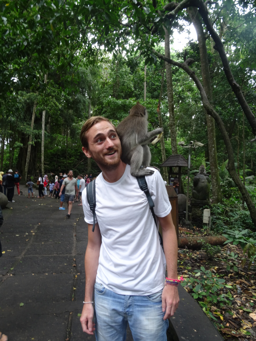 wpid-dsc02095.jpg image