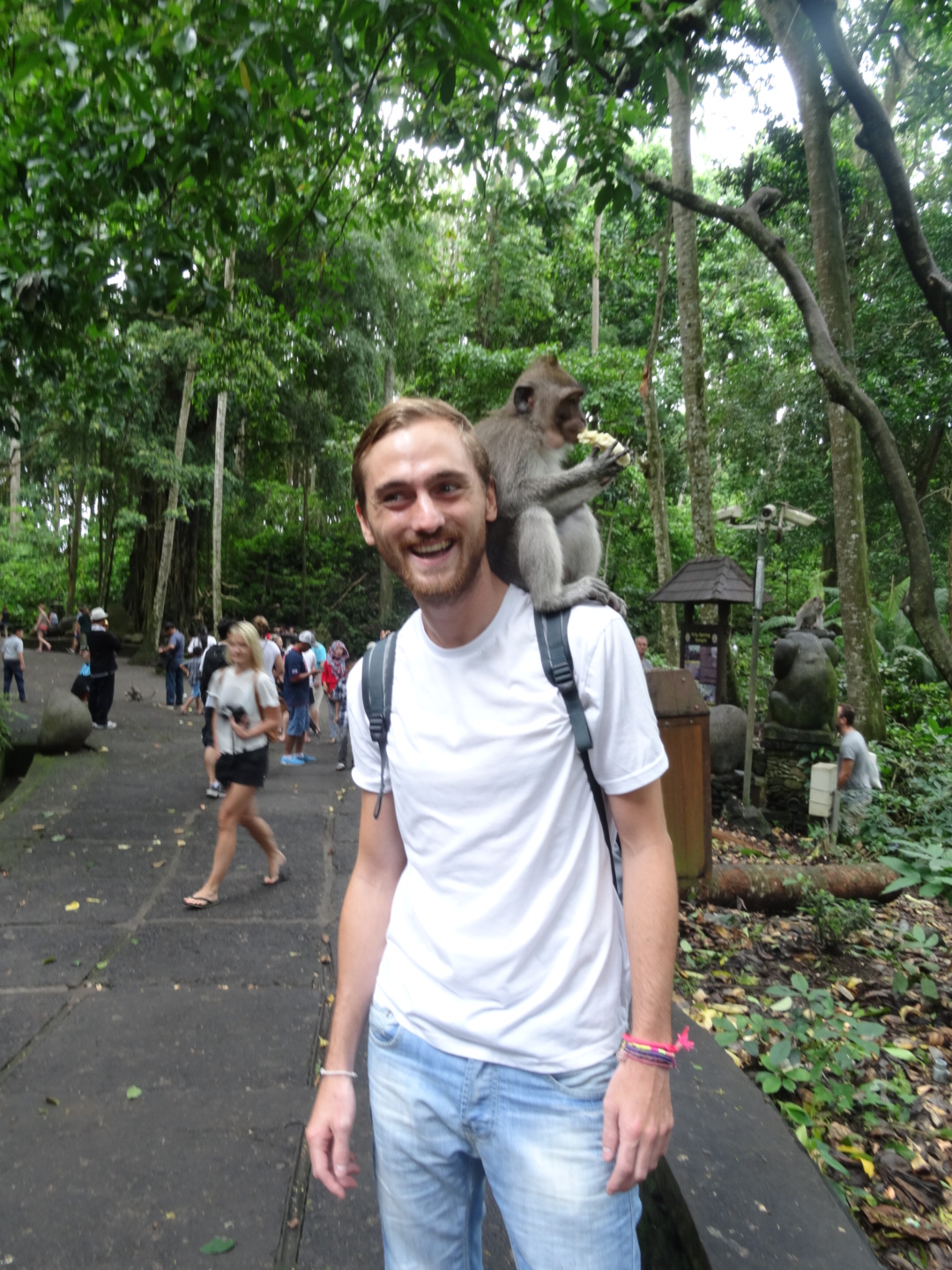 wpid-dsc02098.jpg image