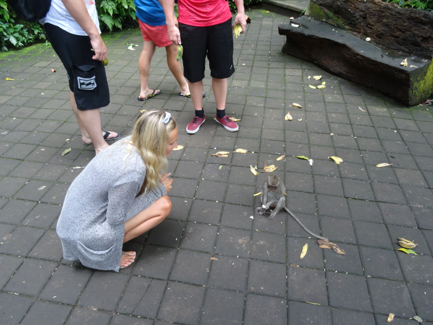 wpid-dsc02145.jpg image