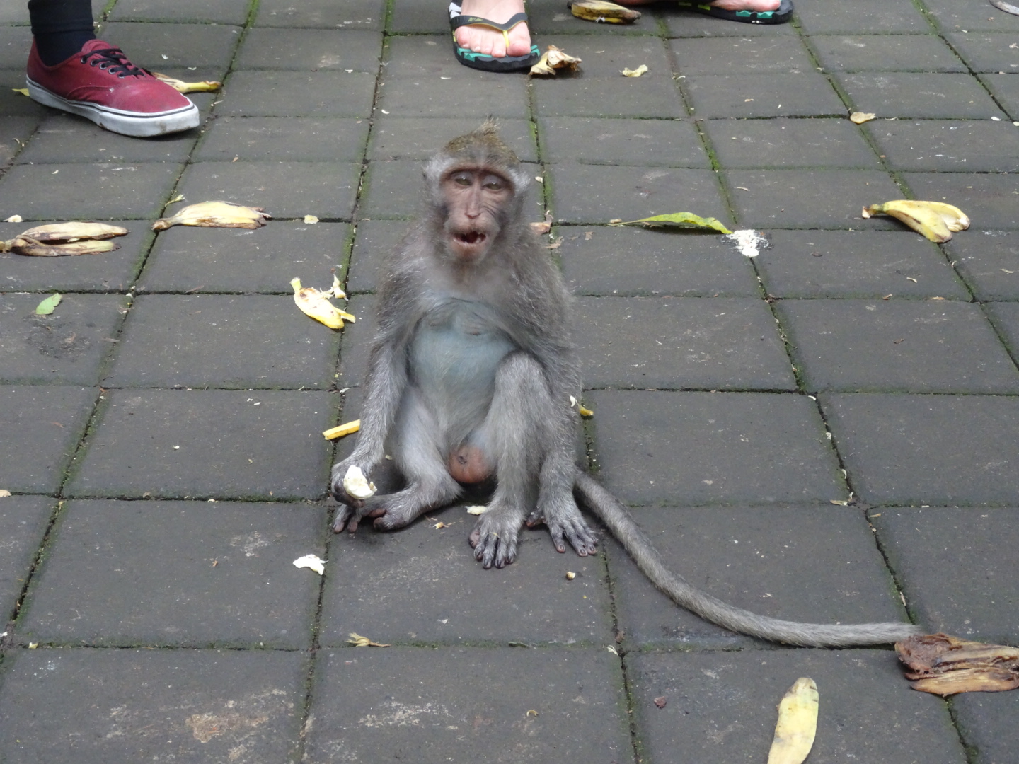 wpid-dsc02147.jpg image