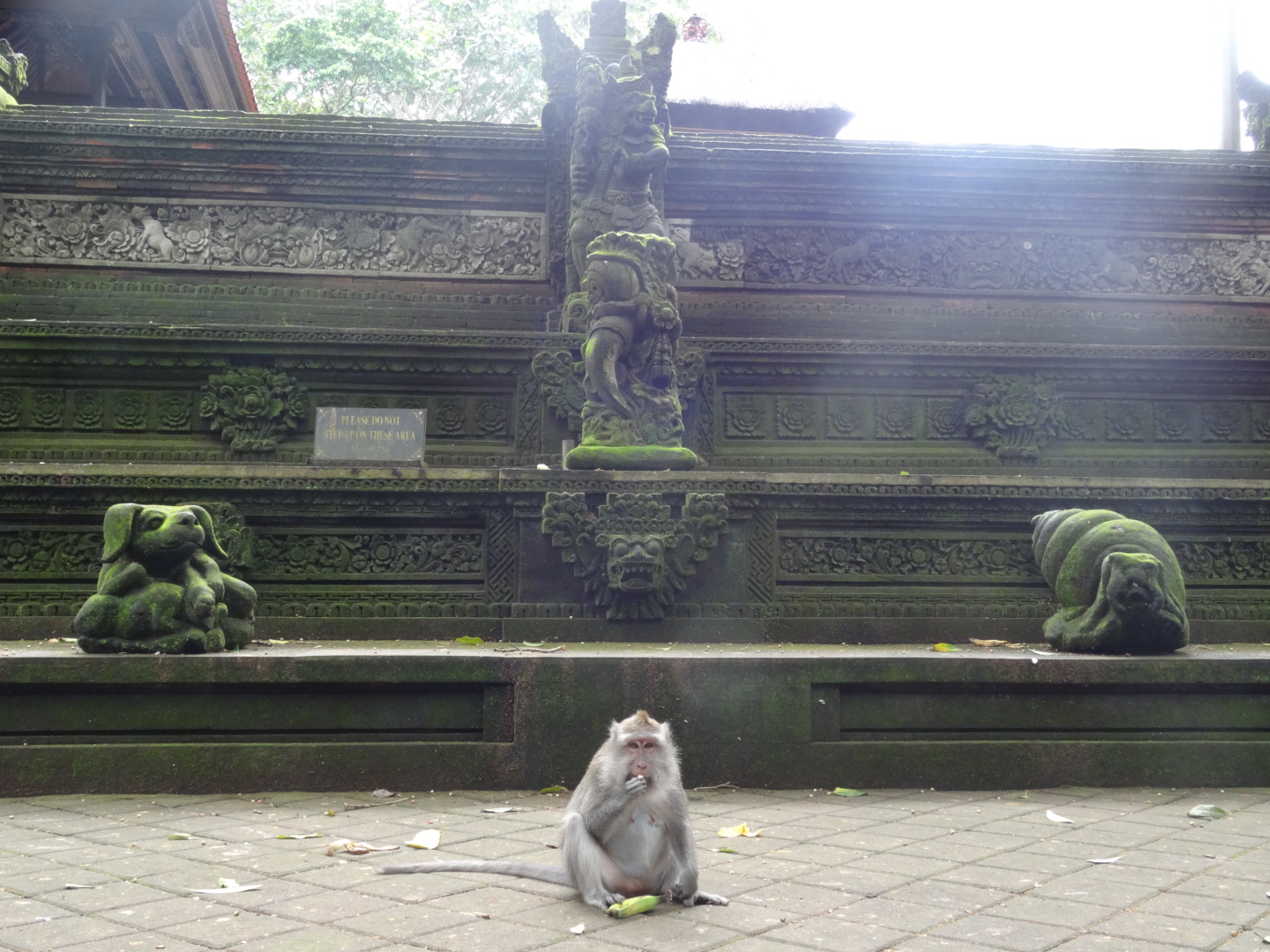 wpid-dsc02152.jpg image