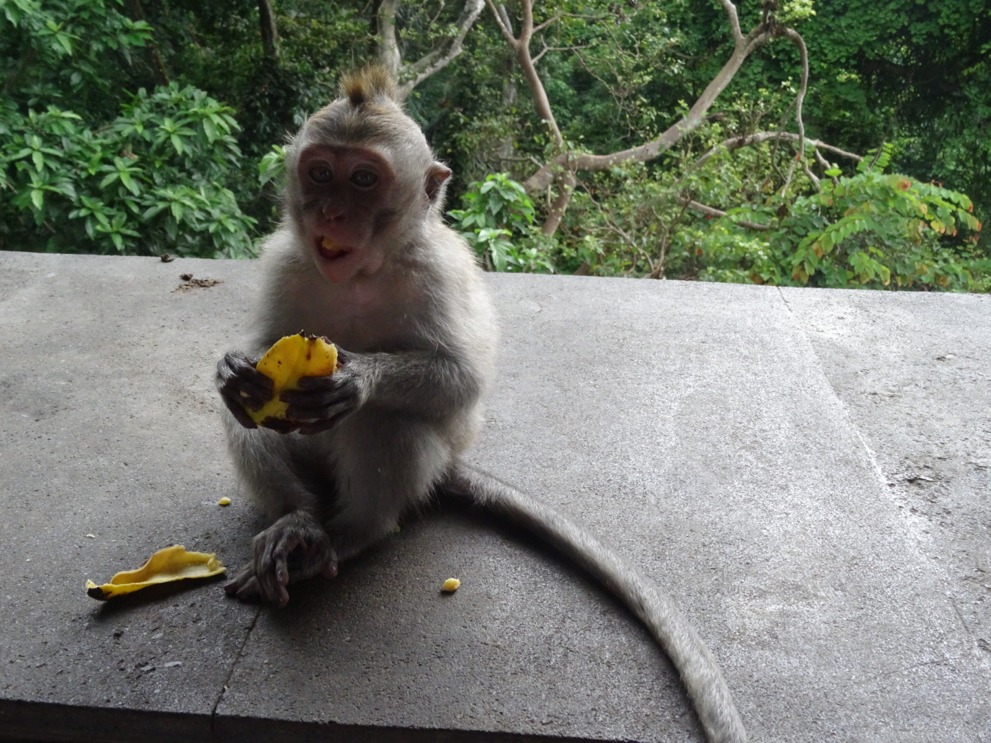 wpid-dsc02167.jpg image