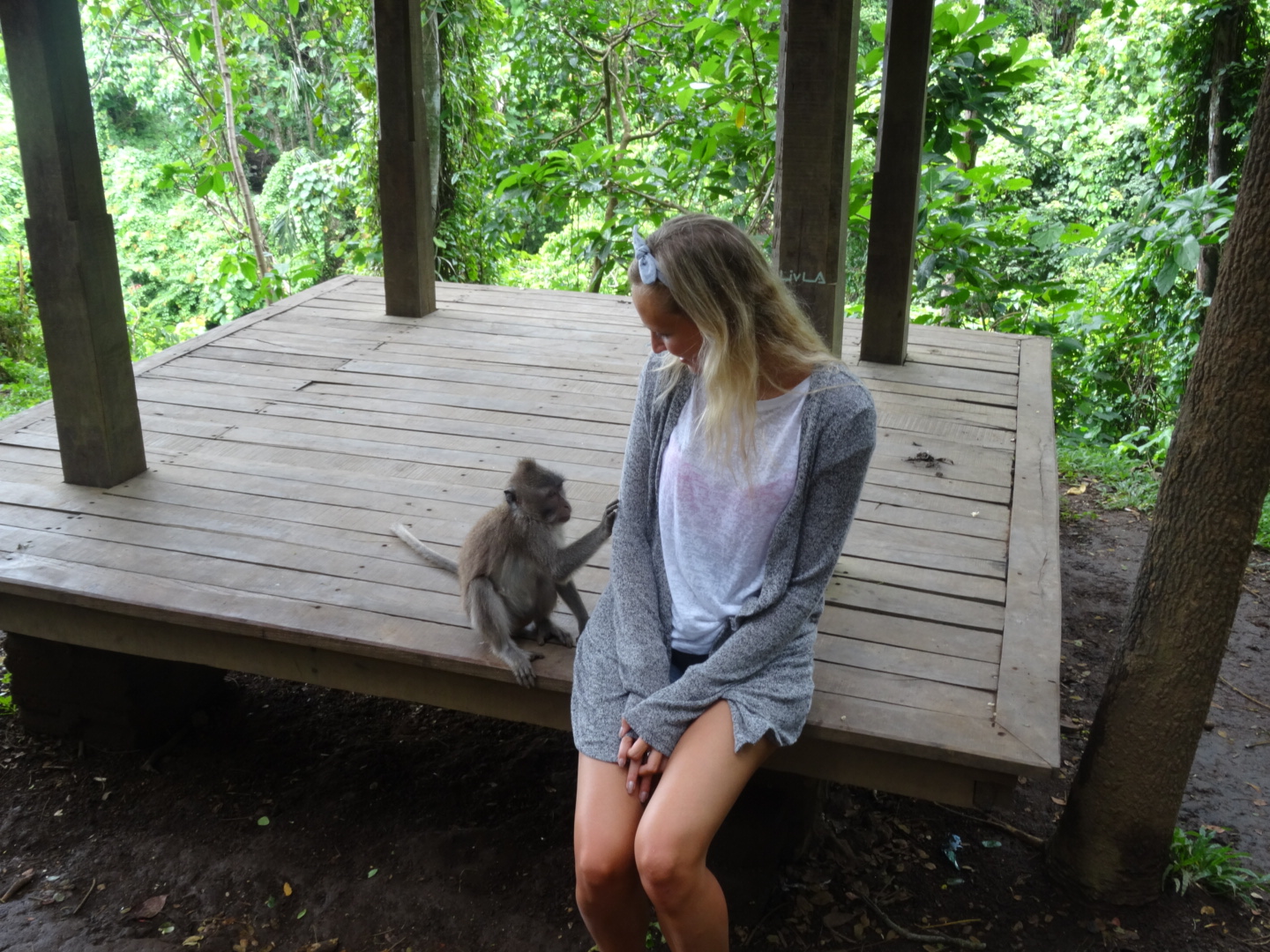 wpid-dsc02217.jpg image