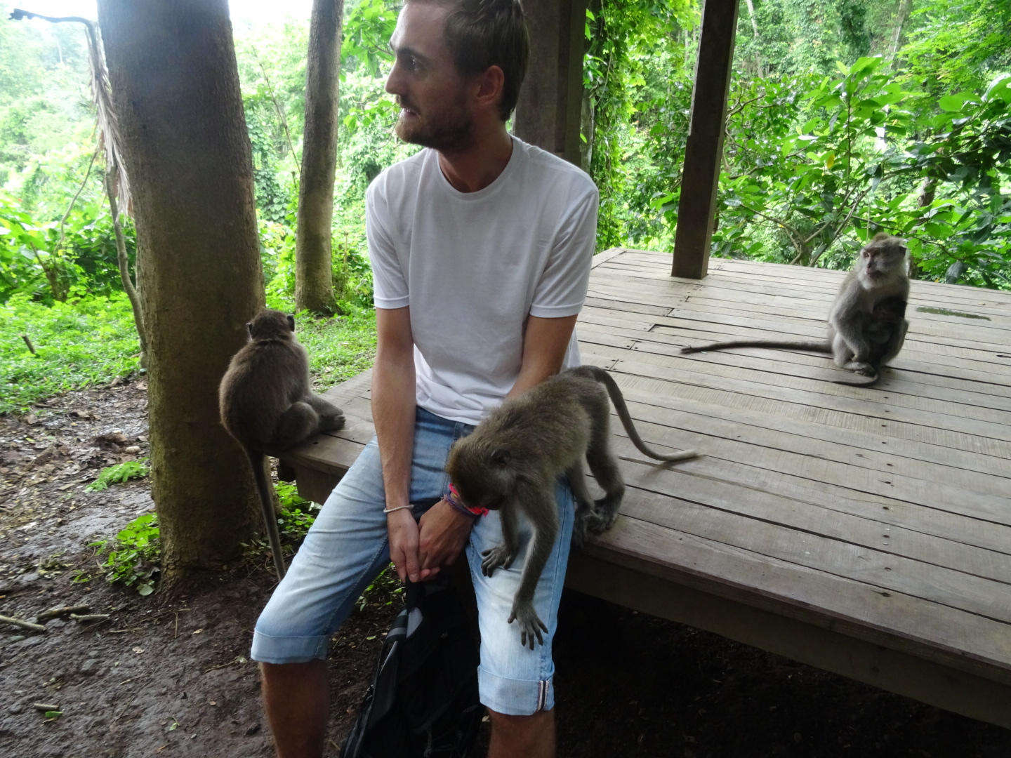 wpid-dsc02228.jpg image