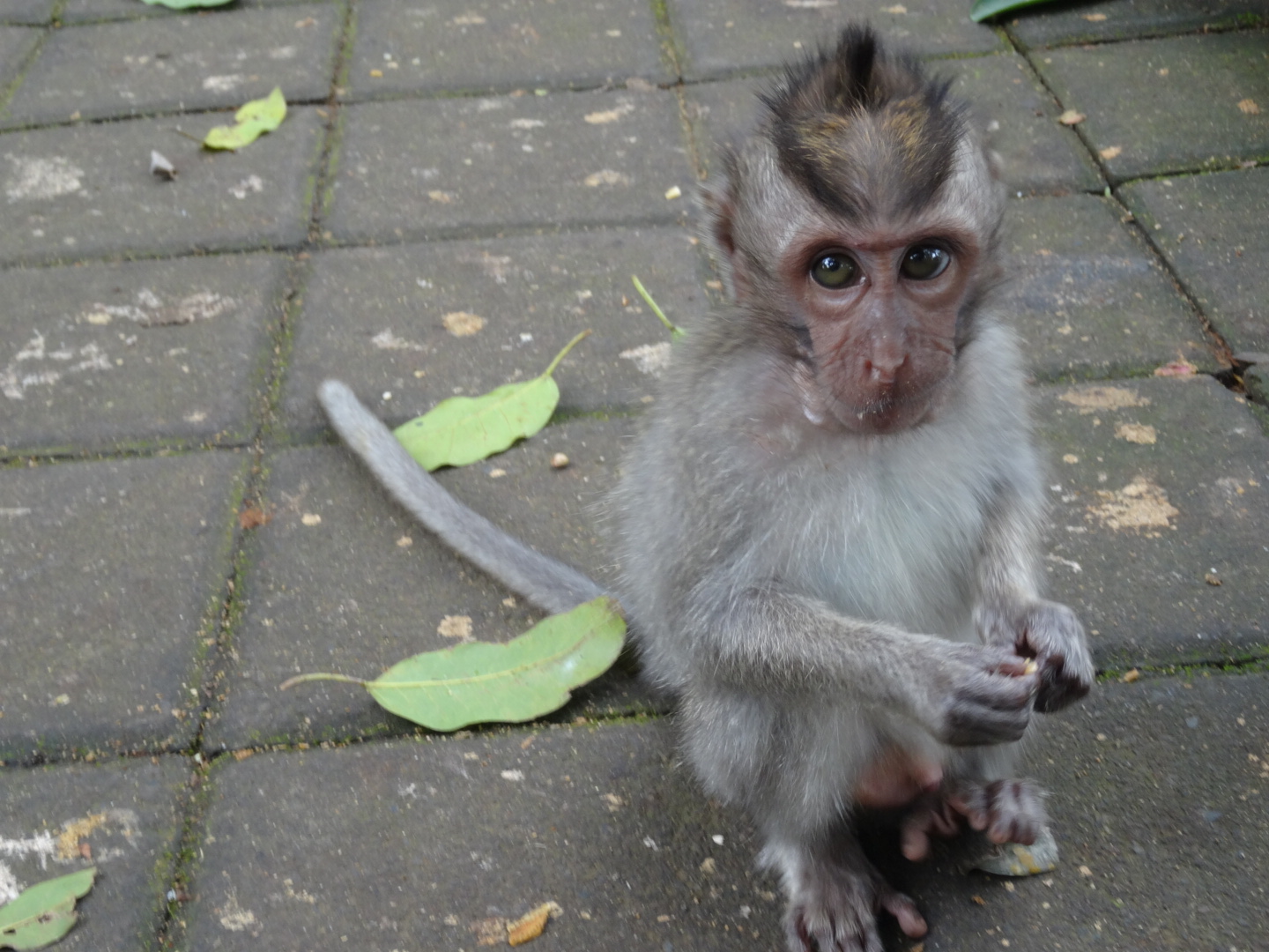 wpid-dsc02262.jpg image