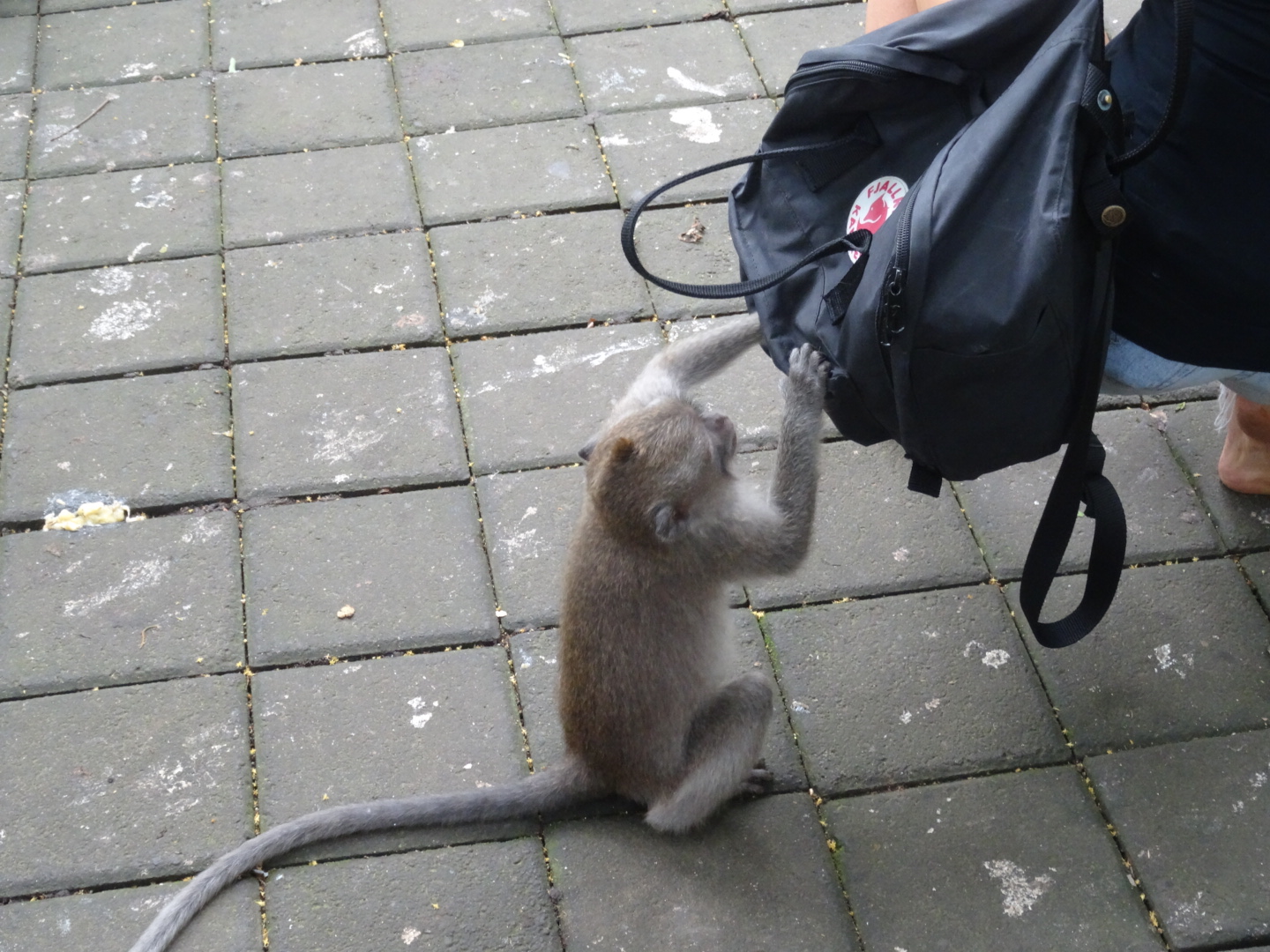 wpid-dsc02268.jpg image