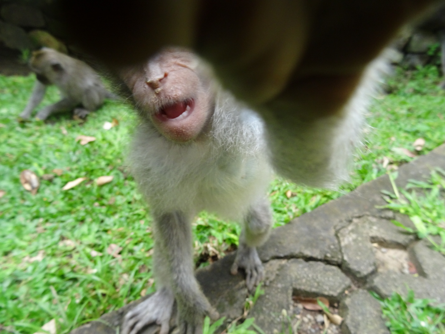 wpid-dsc02323.jpg image