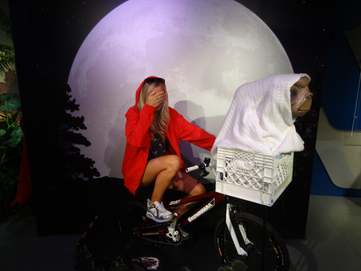 wpid-dsc02903.jpg image