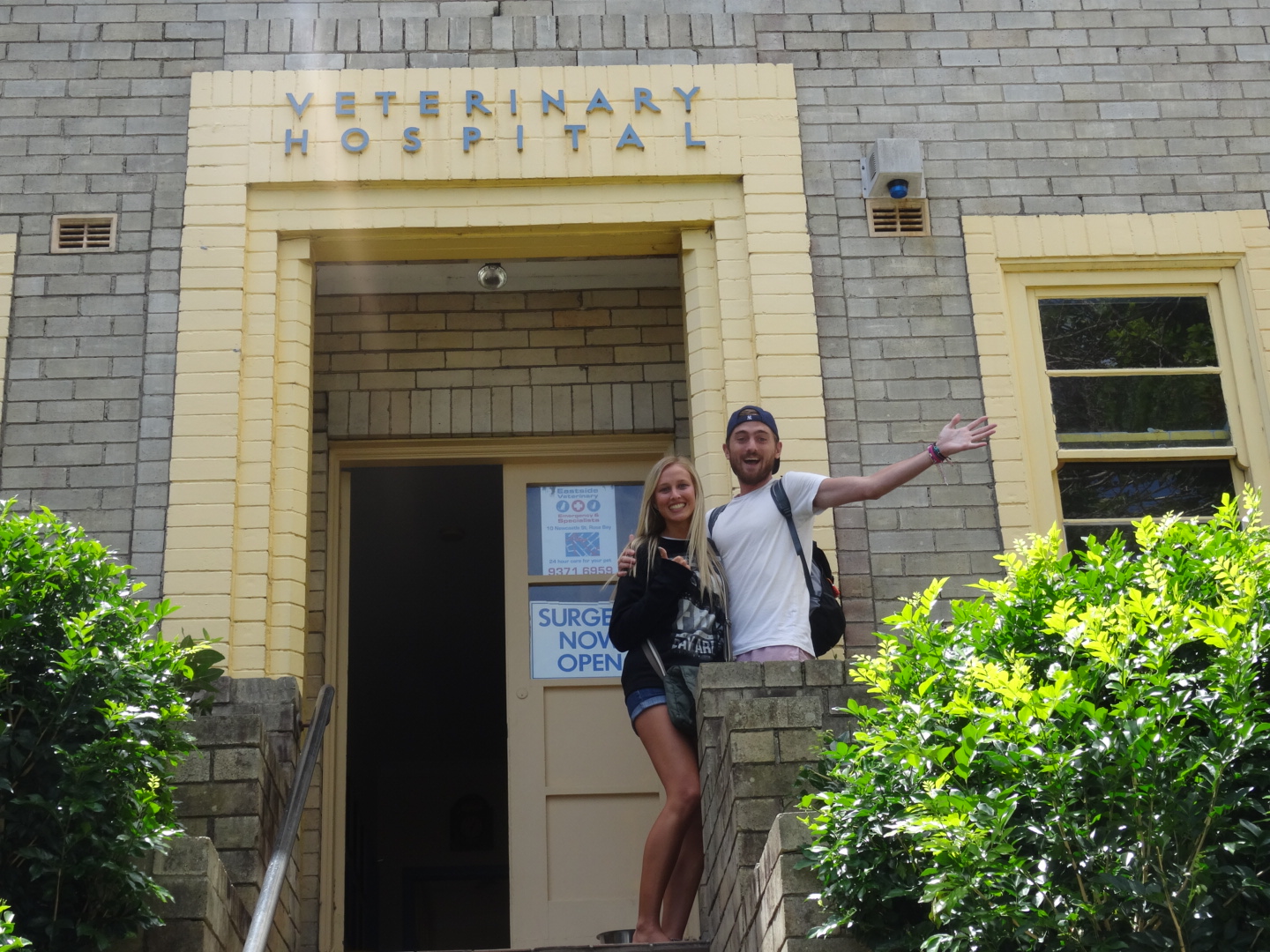 wpid-dsc02976.jpg image