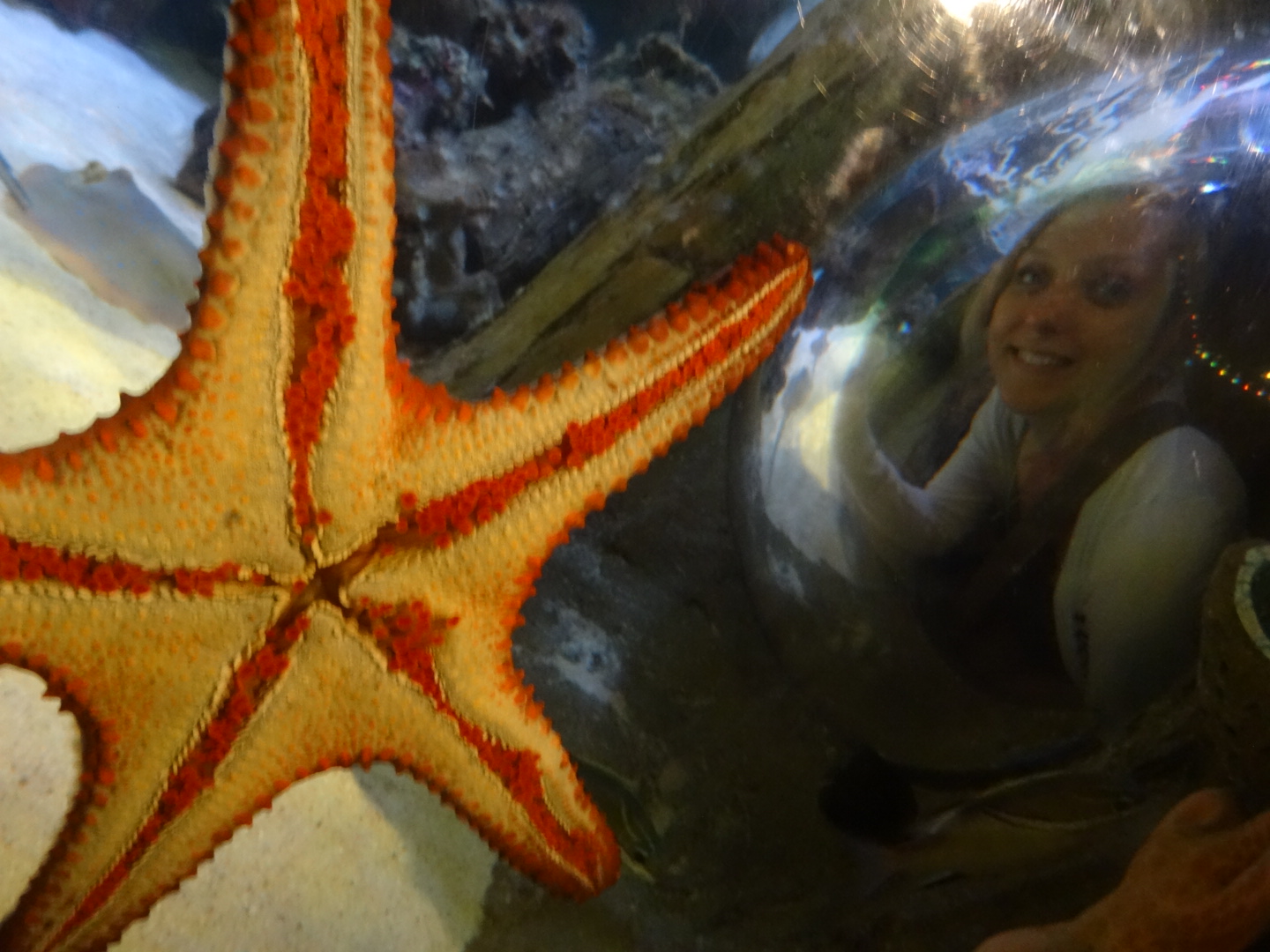 wpid-dsc03094.jpg image