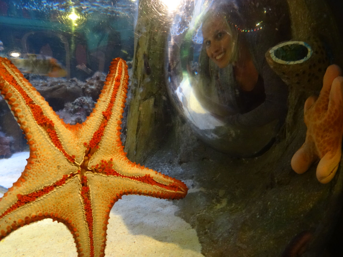 wpid-dsc03095.jpg image